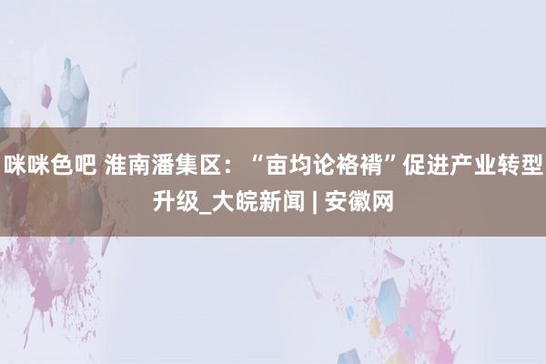 咪咪色吧 淮南潘集区：“亩均论袼褙”促进产业转型升级_大皖新闻 | 安徽网