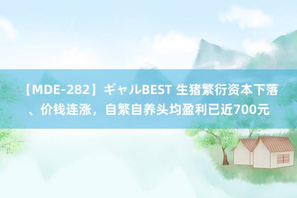 【MDE-282】ギャルBEST 生猪繁衍资本下落、价钱连涨，自繁自养头均盈利已近700元