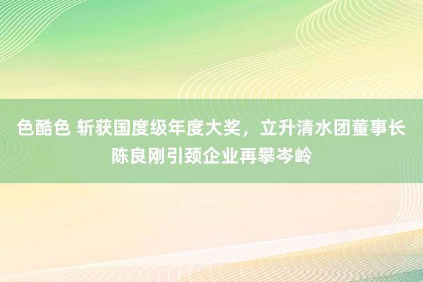 色酷色 斩获国度级年度大奖，立升清水团董事长陈良刚引颈企业再攀岑岭