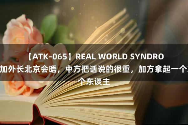 【ATK-065】REAL WORLD SYNDROME 中加外长北京会晤，中方把话说的很重，加方拿起一个东谈主