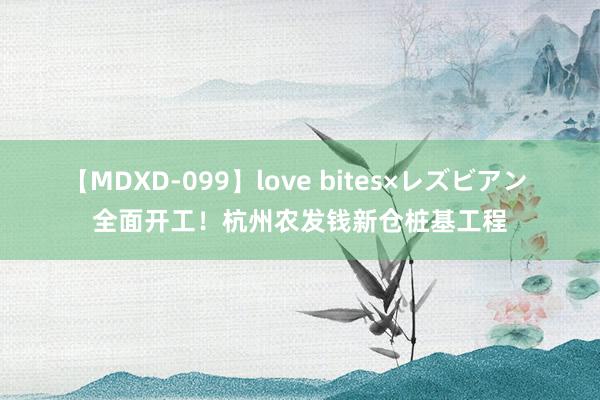 【MDXD-099】love bites×レズビアン 全面开工！杭州农发钱新仓桩基工程