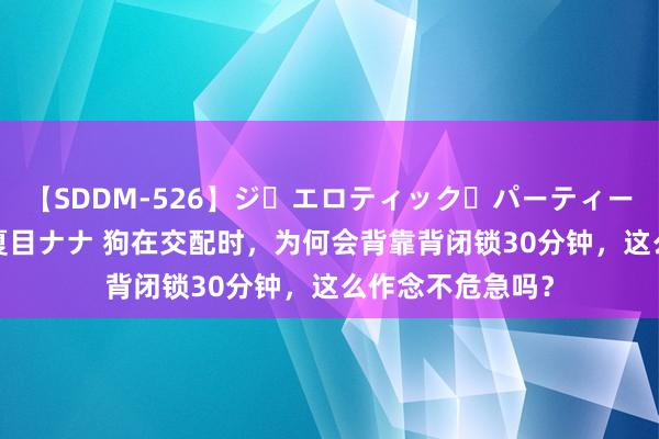 【SDDM-526】ジ・エロティック・パーティー ～悦楽の扉～ 夏目ナナ 狗在交配时，为何会背靠背闭锁30分钟，这么作念不危急吗？