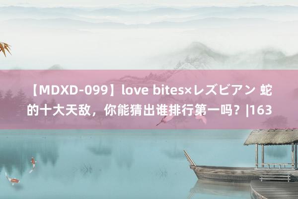 【MDXD-099】love bites×レズビアン 蛇的十大天敌，你能猜出谁排行第一吗？|163