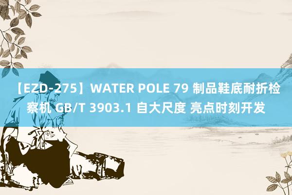 【EZD-275】WATER POLE 79 制品鞋底耐折检察机 GB/T 3903.1 自大尺度 亮点时刻开发