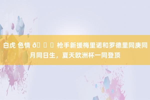 白虎 色情 ?枪手新援梅里诺和罗德里同庚同月同日生，夏天欧洲杯一同登顶