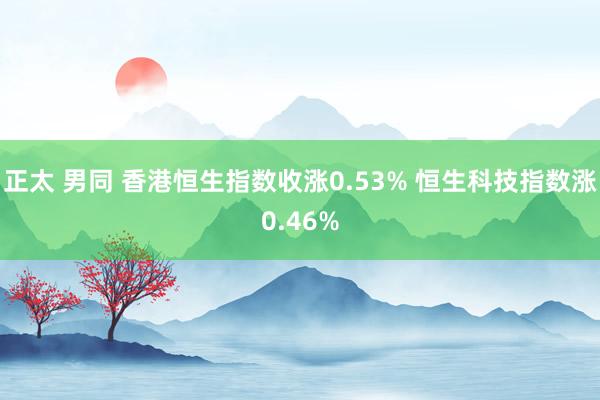 正太 男同 香港恒生指数收涨0.53% 恒生科技指数涨0.46%