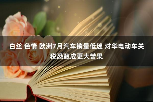 白丝 色情 欧洲7月汽车销量低迷 对华电动车关税恐酿成更大苦果