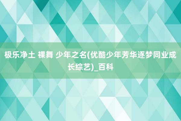 极乐净土 裸舞 少年之名(优酷少年芳华逐梦同业成长综艺)_百科